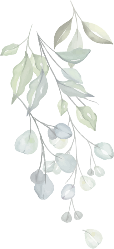 Flower graphic